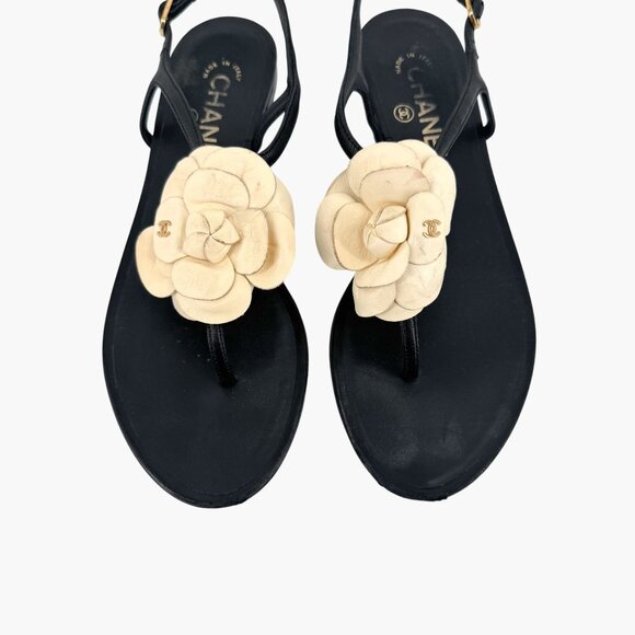 Chanel Camellia Flower CC Sandals Size 37.5C US 6.5-7 Black Leather Flat T-Strap - Picture 3 of 14